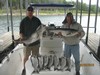 (08/23/2016) - Nice Striped Bass